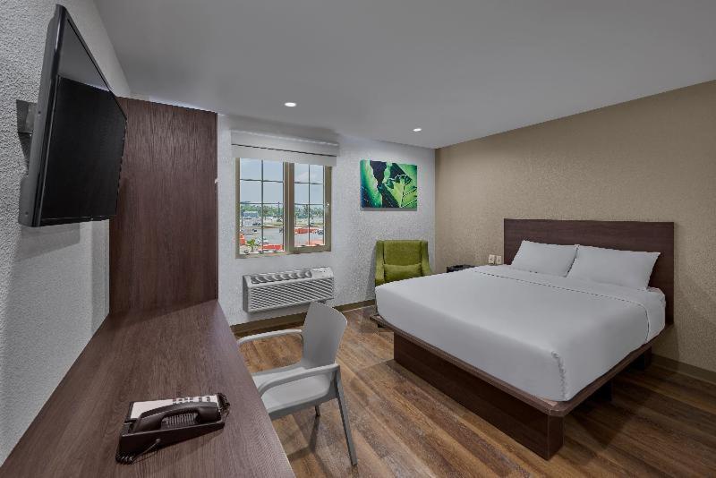 Extended Suites Mexicali Catavina Room photo